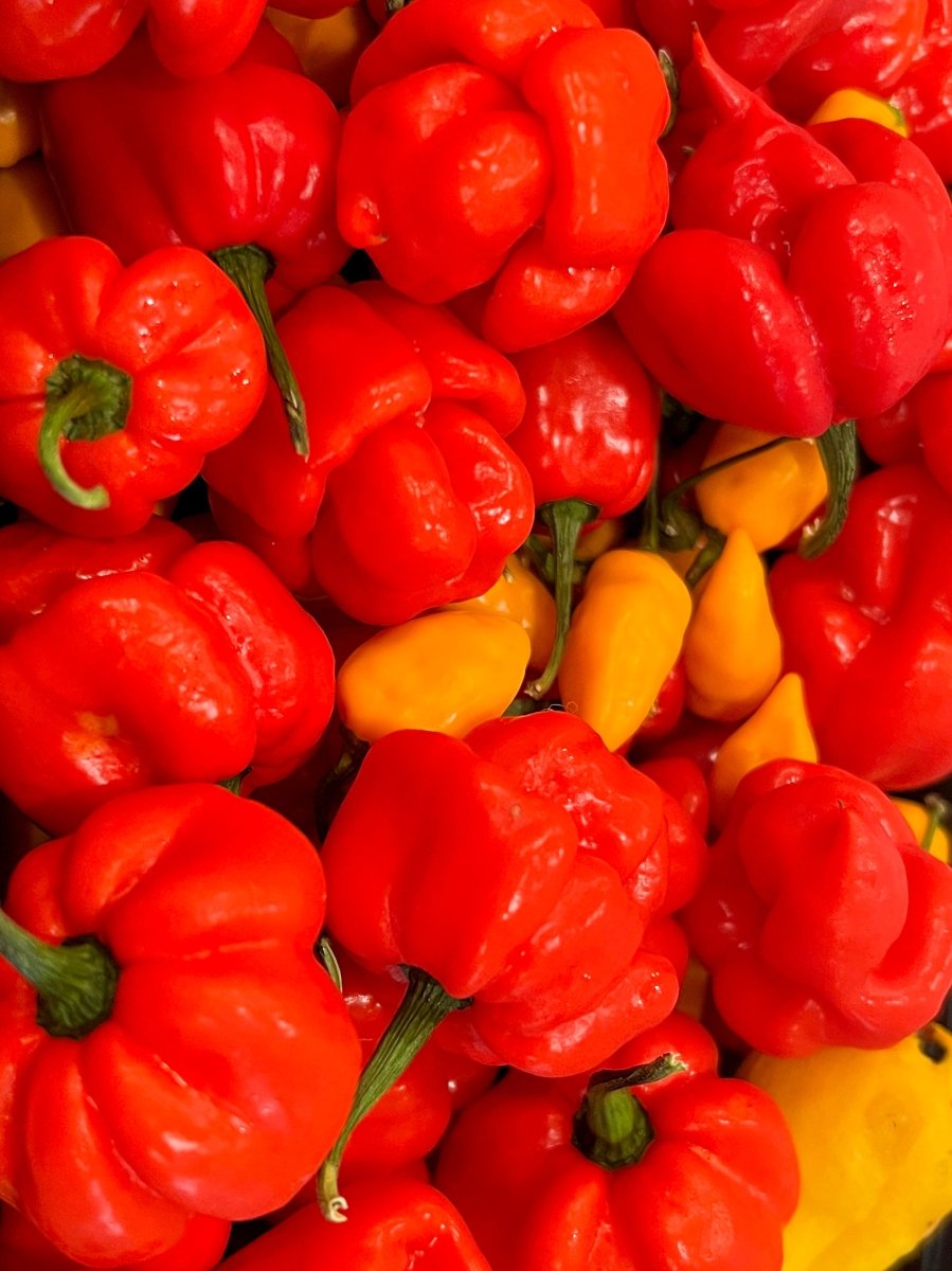Cuyahoga Gold Sauce - Jiracha Fermented Hot Sauces - Scotch Bonnet Peppers